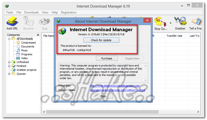 Internet Download Manager 6.19 Build 3 Crack